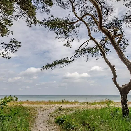 Fewo Prora - Meerblick Binz